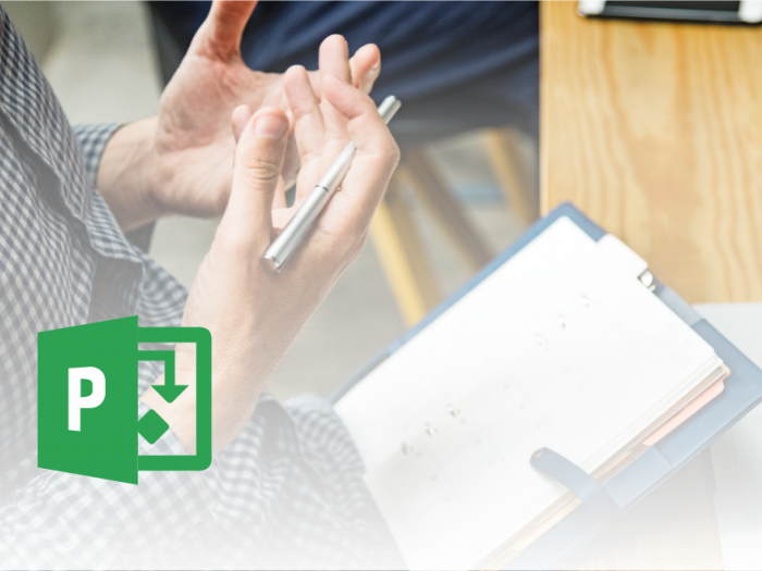Microsoft Office Project - Lastnosti projekta - članek