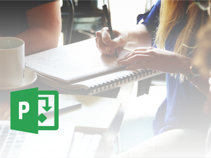 Microsoft Office Project - Večpogodbeni projekt - članek