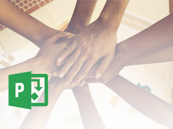 Microsoft Office Project - dodeljevanje delovnih sredstev