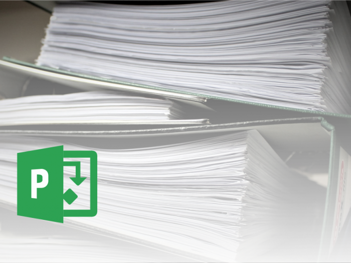 Microsoft Office Project - poročila