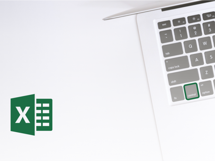 Microsoft Office Excel - Uporaba CTRL in smernih tipk Microsoft Office Excel - Uporaba CTRL in smernih tipk